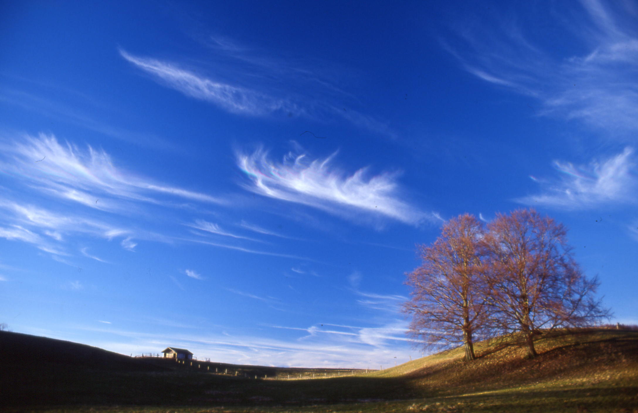 himmel-pesssenhausen